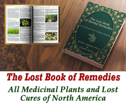 the lost book of remedies review - what is included in the program?